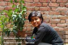 IMG-20260604-WA0005