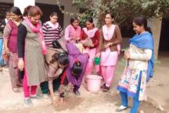 Teaching Practice